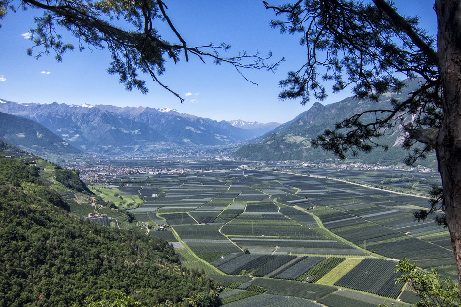 Nals Ausblick MTB Tour